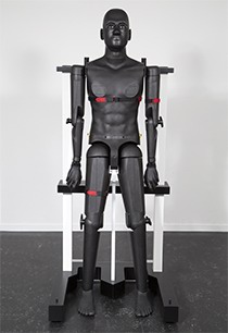 OTA 全人体模型 POPEYE10